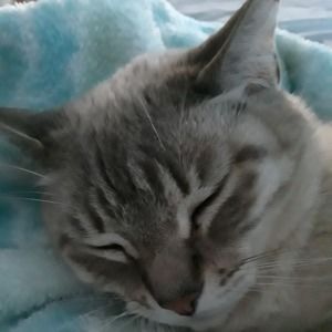 Meet your Posher, Debra